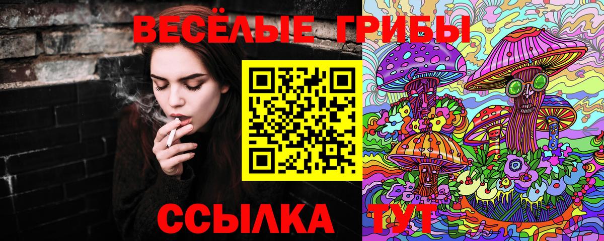 Кострома  Псилоцибиновые грибы мухоморы  Вход с VPN 
